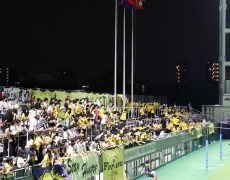 0A62A24A-140F-44CD-AF7A-02F3839C9CDA_11zon